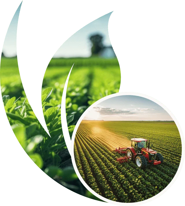 Agronomist inspecting healthy crop field with farmer