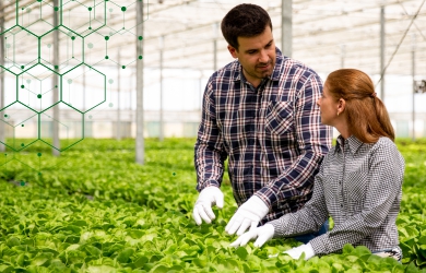 Agribusiness Consultancy