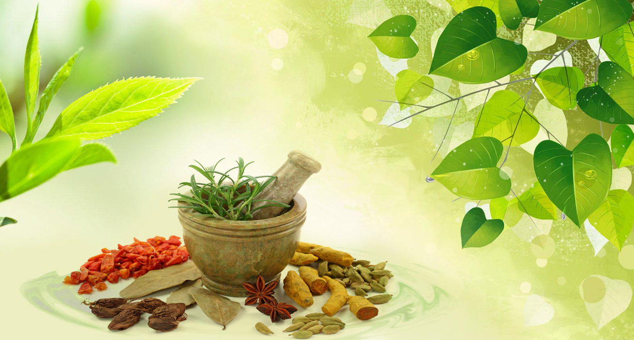 Ayurvedic Plant Production