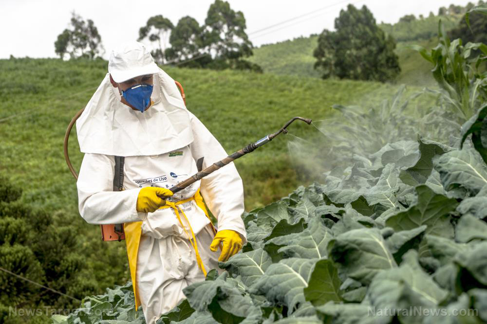 Bio Pest Control
